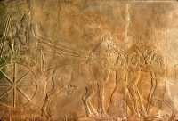 647 Les chasses du roi Assurbanipal