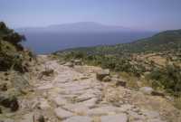 153 Assos (rue vers le port)