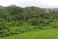 37 Nord de Poutoru - Tahaa