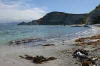 115 Péninsule de Kaikura