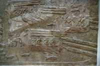 593 bis Transport des cèdres du Liban