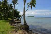 23 Motu Ahi (île aux coquillages) - Moorea - Côte est