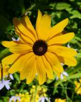 80 Jardin des plantes