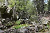 36 Quailburn Track (Benmore Run, Ahuriri Park)