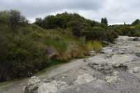 023 Tikitere (Hell's Gate à 16 km de Rotorua)
