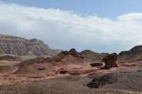 023 Le champignon et demi