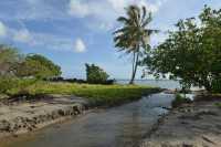 140 Marae Opu Teina (Taputapuatea)