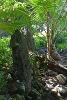 024 Marae - Baie de Faanui