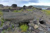 29 Moai - Hanga Poukura