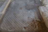 021 Maison du Nil - Mosaïque