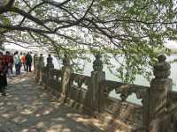 12 Ile du lac du sud