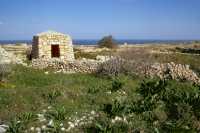 316 Entre St Paul's Bay, et Mellieha Bay