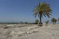 63 Quartier assyrien (732-630) construit sur un plan orthogonal