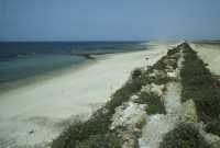 309 Césarée - Aqueduc