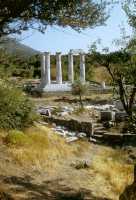 213 Cour de l'Autel des grands dieux