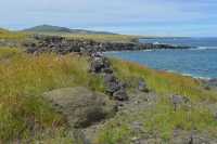 03 Fragment de Moai (entre Akahanga et Ahu Oroi)