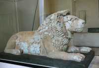 109 - Lion (taille réelle) trre cuite *