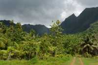 25 Moorea - Côte est