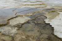 44 Mammoth Hot Spring Terraces