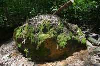 03 Souche - Monsoon Forest