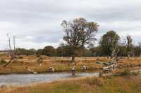 087 Ouettes de Magellan