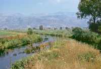 511 Près du Forum d'Appius