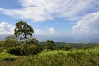 085 Sur les hauteurs du plateau de Taravao B