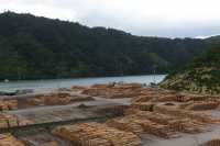 113 Queen Charlotte Sound (Picton)