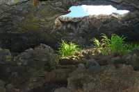 21 Grotte d'Ana Te Pahu