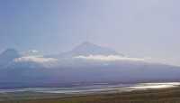 25 Ararat