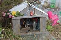 18 Culte de Difunta Correa