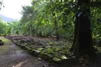 41 Plate-forme du conseil (Vallée d'Opunohu)