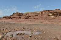 041 Le champignon après l'orage