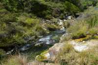 113 Ruisseau (Waimangu) B