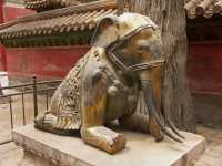 118 Elephant positif