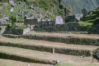 221 Temple aux 3 fenêtres