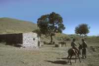 056 Nord ouest de Derbé