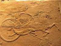 59 Char couvert - Han (25-220)