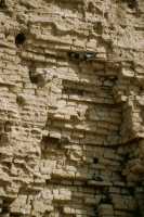 412 Dour-Kurigalzou Ziggurat