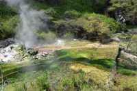 108  Source chaude et terrasse de silice (dite du nid d'oiseau)