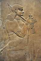 11 Palais N.O. d'Asurnasirpal (883-859) à Nimrud
