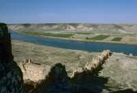 822 Zénobia - Rempart