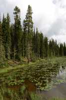 065 Craig Pass (2518m)
