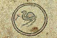 36 Mosaïque - Poule d'eau