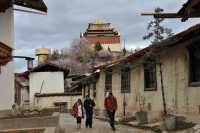 75 Vieille ville & Temple