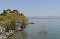 94 Le rivage du lac à Capharnaüm près de la maison de Pierre