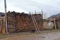 10 Cochon noir & réserve de bois