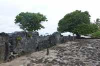 131 Marae Hauviri (Taputapuatea)