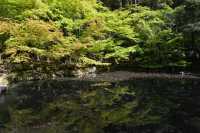59 Temple Nanzen-ji (Jardin)