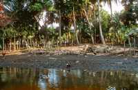 421 Puerto San José - Canal de Chiquimulilla